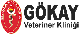 Özenmiş Veteriner Kliniği